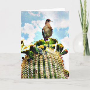 Carte Just sitting' on a saguaro