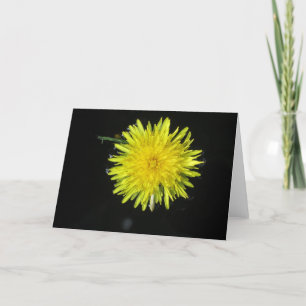 Carte Juste Dandy