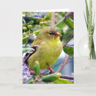 Carte Juste parce que