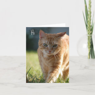 Carte Juste parce que