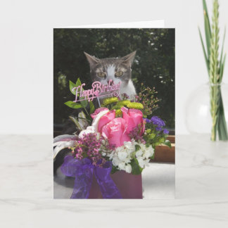 Carte Juste Popup dans le chat mignon Anniversaire