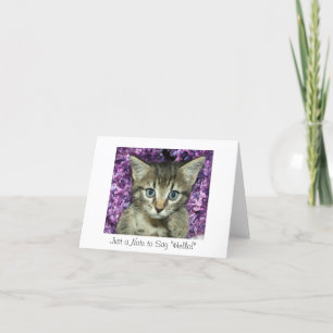 Carte Juste une note à dire "bonjour !" Chaton gris