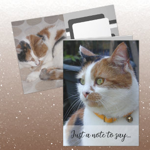 Carte Juste une note pour dire 3 photos de chat gris