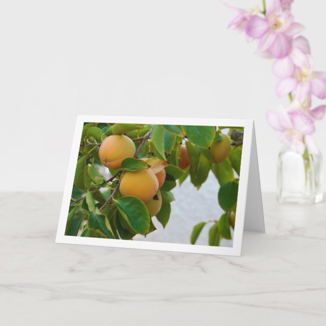 Carte Kaki dans le portrait d'arbre (Orchidée)