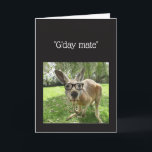 Carte Kangaroo G'day Mate Australian Animal Birthday<br><div class="desc">Fun Kangaroo G'day Mate Australian Animal Humor for a touch of Australia Birthday</div>