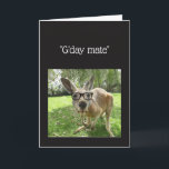 Carte Kangaroo G'day Mate Australian Animal Birthday<br><div class="desc">Fun Kangaroo G'day Mate Australian Animal Humor for a touch of Australia Birthday</div>
