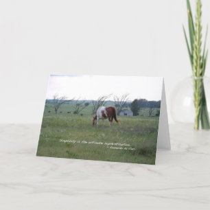 Carte Kansas Paint Horse