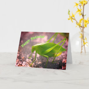 Carte Katydid Grasshopper Nature Anniversaire