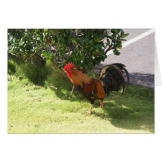 Carte Kauai Rooster