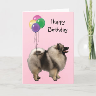 Carte Keeshond, ballons d'anniversaire