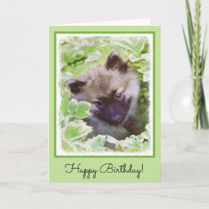 Carte Keeshond Puppy in the Garden Peinture Art original