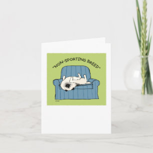 Carte Keeshond "Race non sportif"