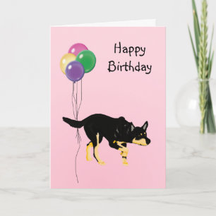 Carte Kelpie australienne, Ballons d'anniversaire