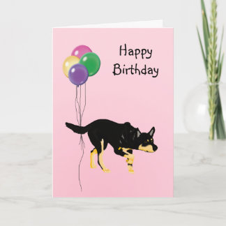 Carte Kelpie australienne, Ballons d'anniversaire