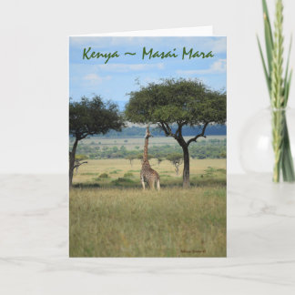 Carte Kenya Masai Mara Giraffe