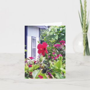 Carte Ketmie bonjour