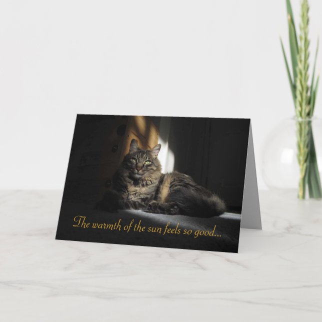 Carte Kimber Cat Slivers of Sunlight I Love You Card (Devant)