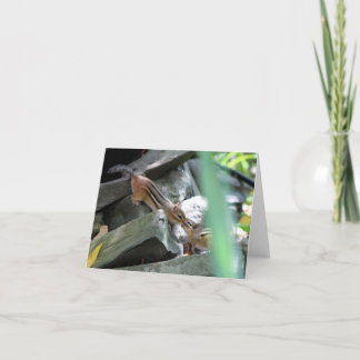 Carte Kissing Chipmunks