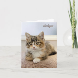 Carte Kitten