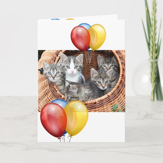 Carte Kitten (Devant)