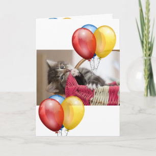 Carte Kitten