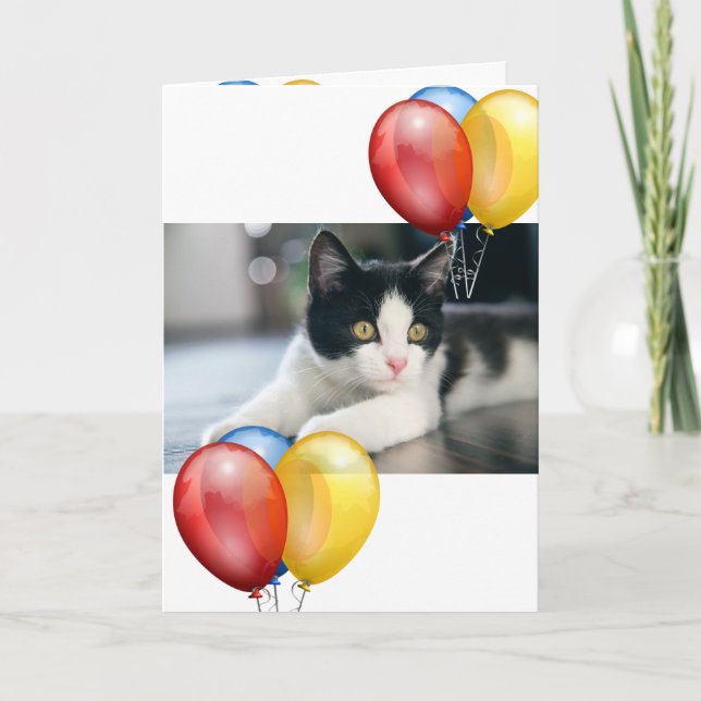 Carte Kitten (Devant)