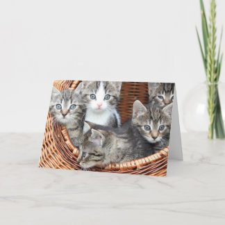 Carte Kitten