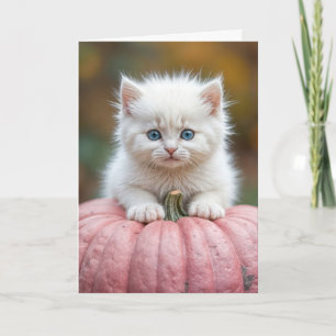 Carte Kitten blanc sur Citrouille d'Halloween rose