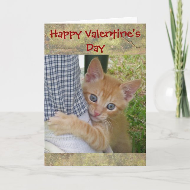 Carte Kitten Dax Valentine (Devant)