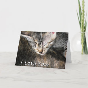 Carte Kitten et Cat I Love You