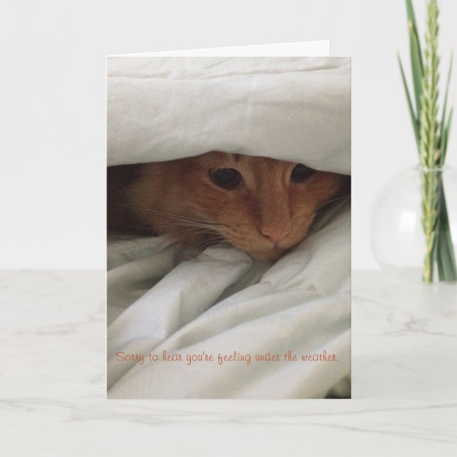 Carte kitten get well card (Devant)