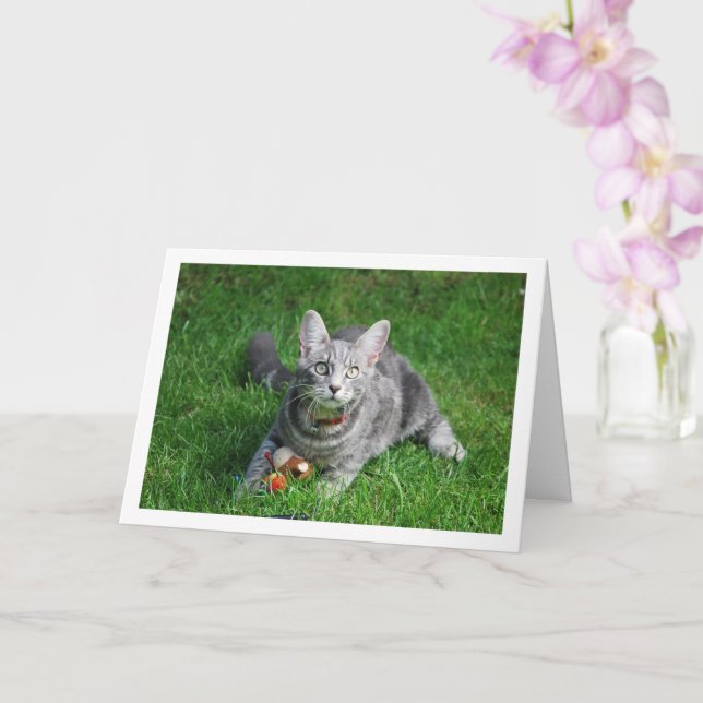 Carte Kitten gris sur la pelouse avec jouet (Orchidée)