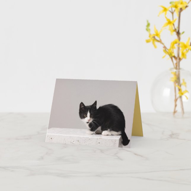 Carte Kitten Love (Fleur jaune)