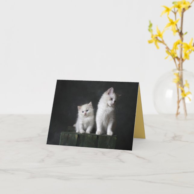 Carte Kitten Love (Fleur jaune)