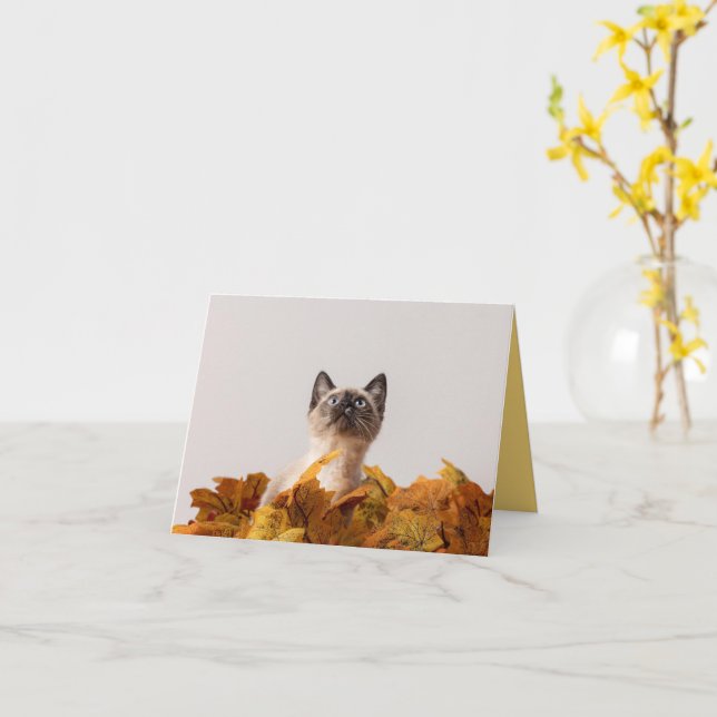 Carte Kitten Love (Fleur jaune)