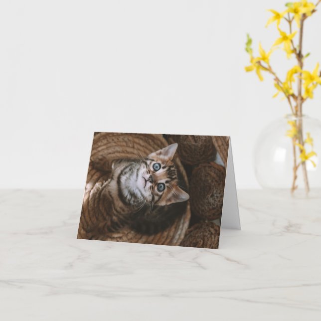 Carte Kitten Love (Fleur jaune)