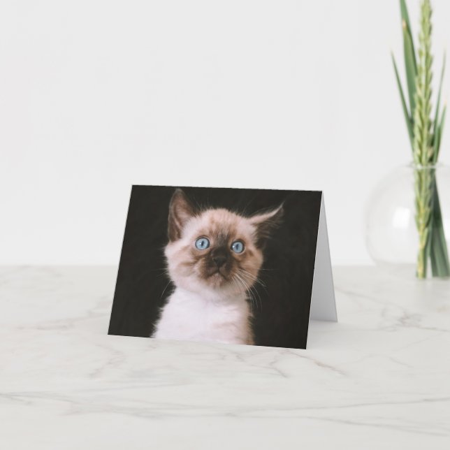 Carte Kitten Love (Devant)
