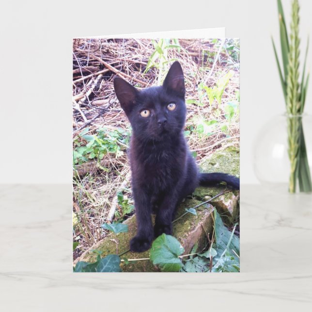 Carte Kitten noir (Devant)