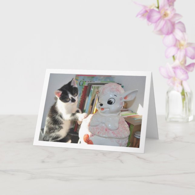 Carte Kitten noir et blanc avec agneau de Chine (Orchidée)