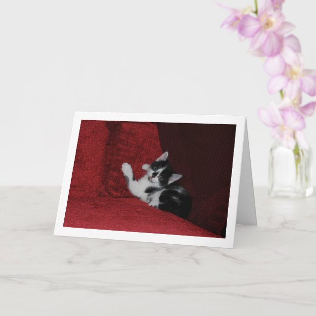 Carte Kitten noir et blanc sur canapé rouge (Orchidée)