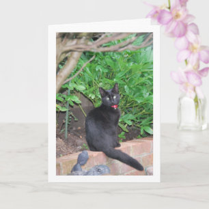 Carte Kitten noir sur le mur