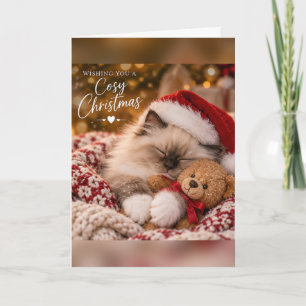 Carte Kitten Ragdoll Cosy Noël avec Ours en Peluche
