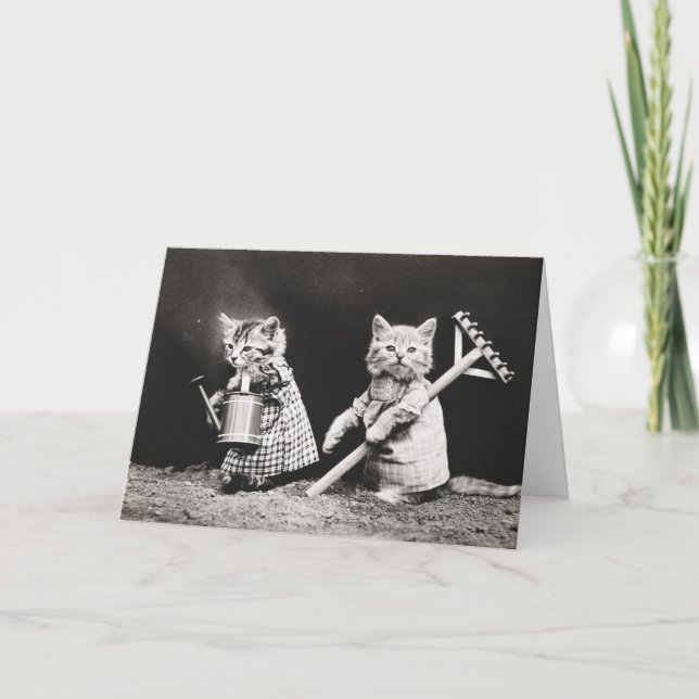 Carte Kitties jardinage | Kitty avec Rake (Devant)