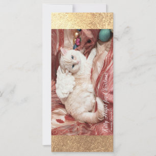 Carte Kitty Angel pour Noël