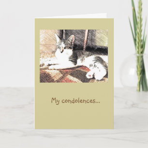 Carte Kitty Condolences