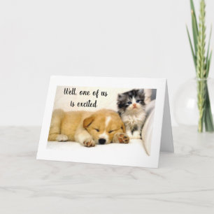 Carte **KITTY** EST EXCITÉE QUE CE SOIT TON *40e ANNIVER