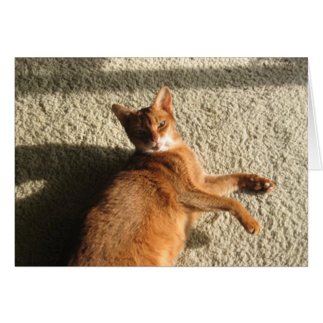 Carte Kitty Lounge (Devant horizontal)