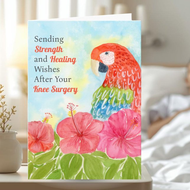 Carte Knee Surgery Healing with Scarlet Macaws, Hibiscus (Créateur téléchargé)