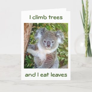 CARTE "KOALA BANTHDAY GREETINGS" IL MANGERA DU GÂTEAU PO