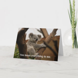 Carte Koala Bear Funny Missing Vous Amoureux des animaux
